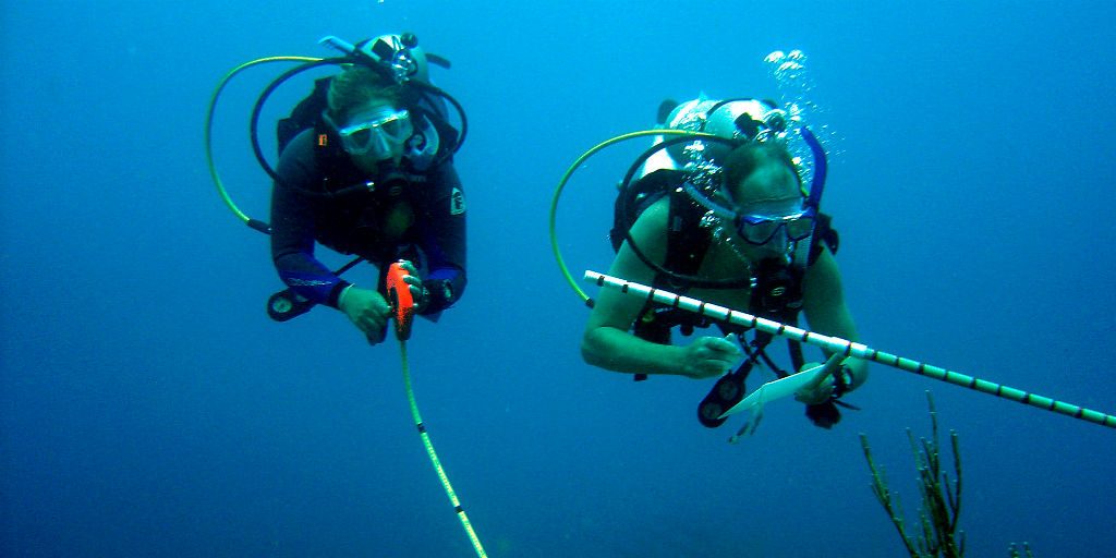 With coral reefs and the oceans populations becoming increasingly threatened, careers in marine conservation are growing in importance.