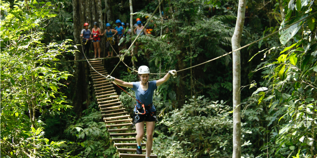 A volunteer wearing a harness, walking across a suspension bridge in the jungle.