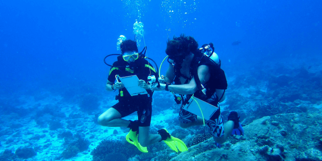 GVI interns learn about marine life research in Mexico.