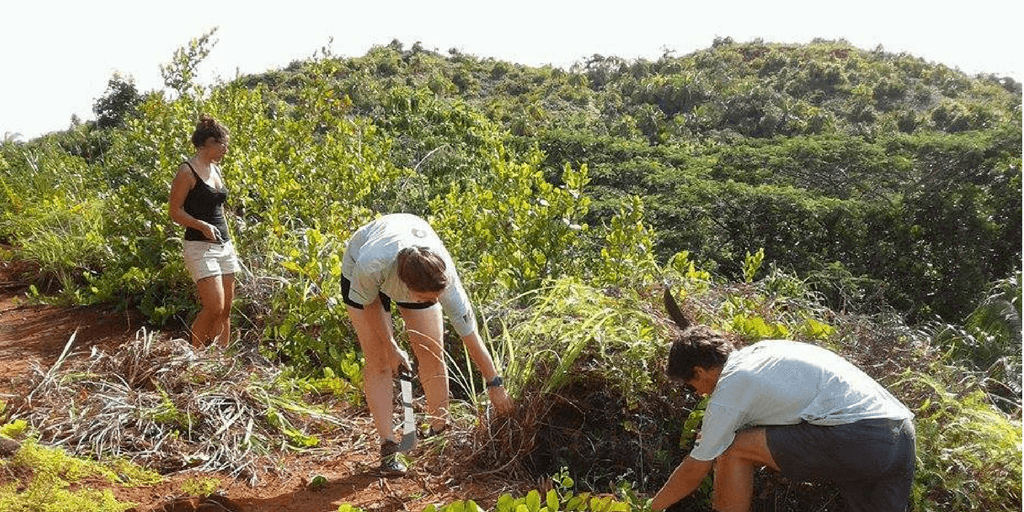 conservation volunteer work for high school students in seychelles