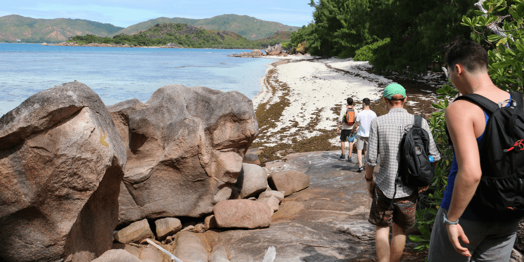 environmental conservation internships in the seychelles