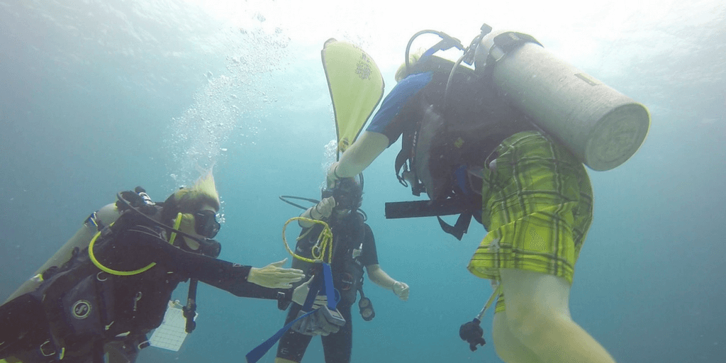 marine biology internship abroad in fiji