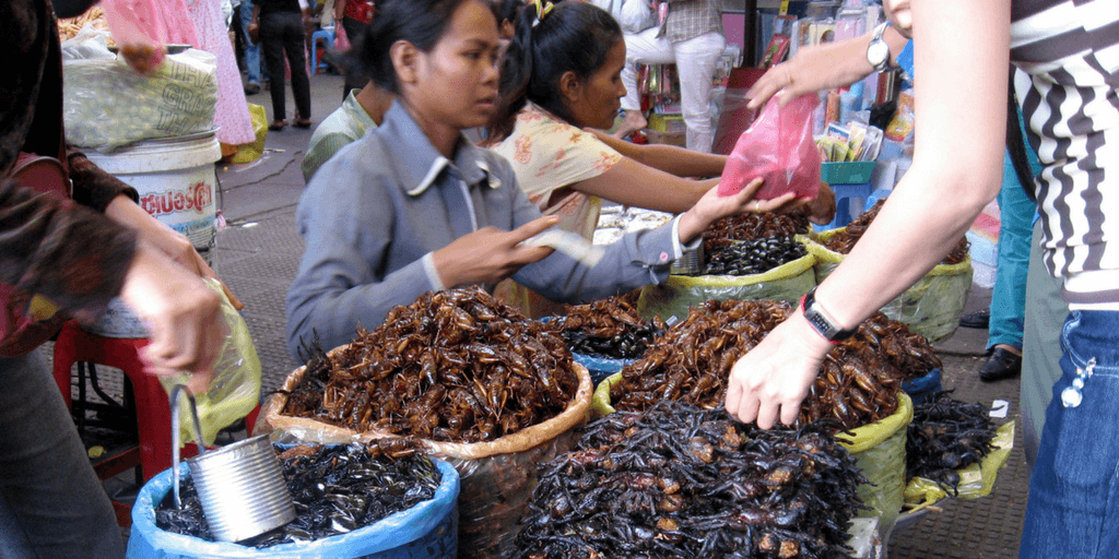 Cambodia food insects