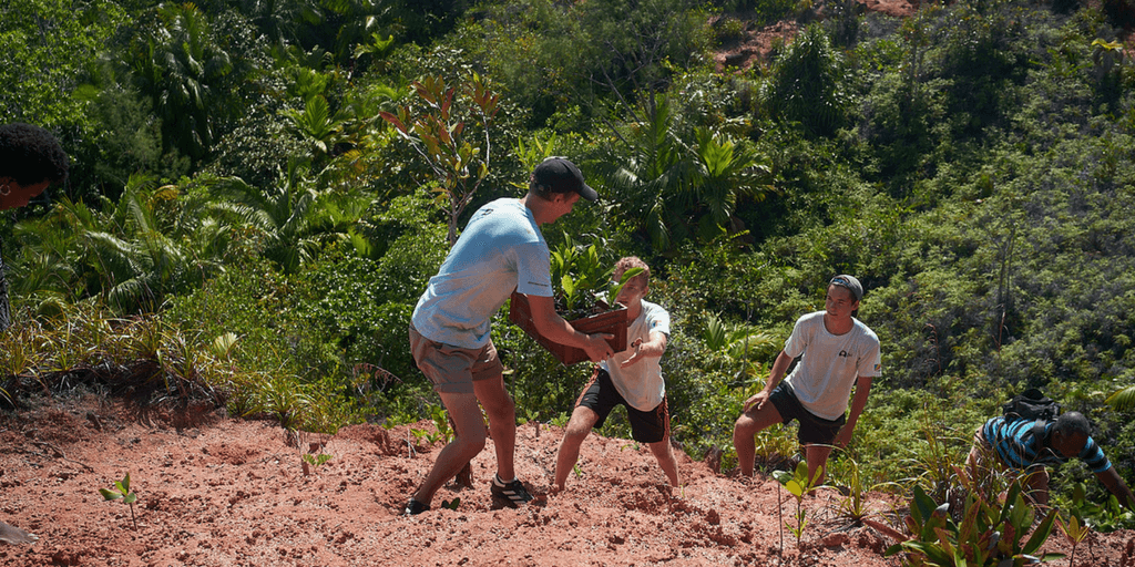 Island Conservation Expedition In Seychelles