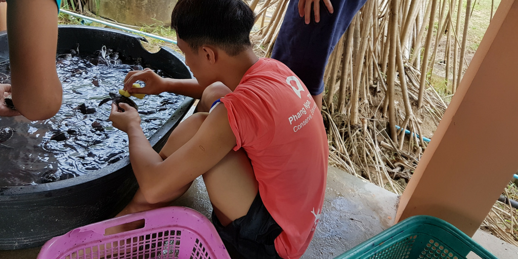 Work To Preserve Thailand’s Coastline