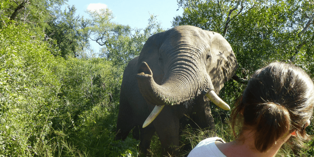 Seeing how volunteers react to their first interaction with South Africa’s wildlife is what Leah loves about working with international volunteers. 