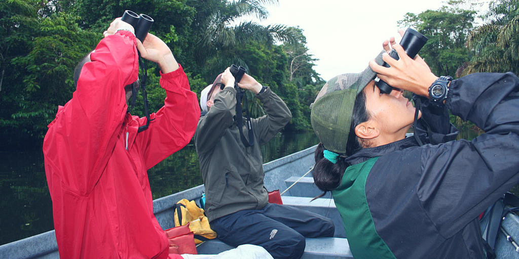 New Developments In Conservation