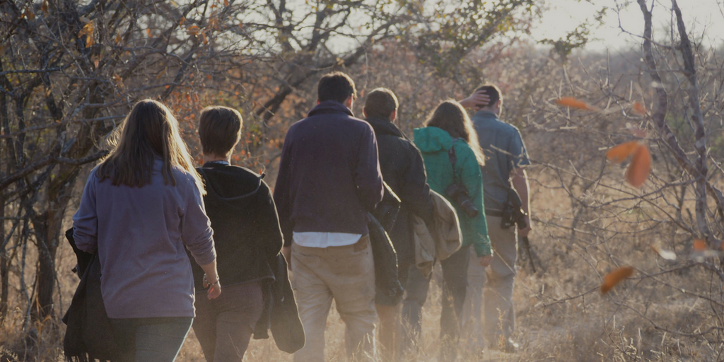 Volunteers in Karongwe get to experience a wildlife walk on foot. 