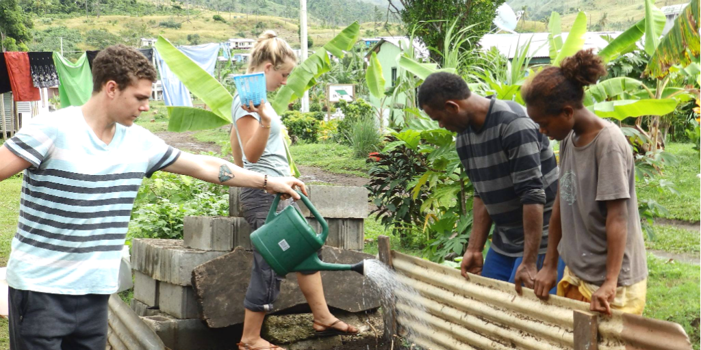 A volunteer watering a garden in Fiji.