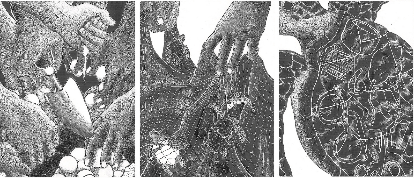 The Art/Science of Zoological Medicine