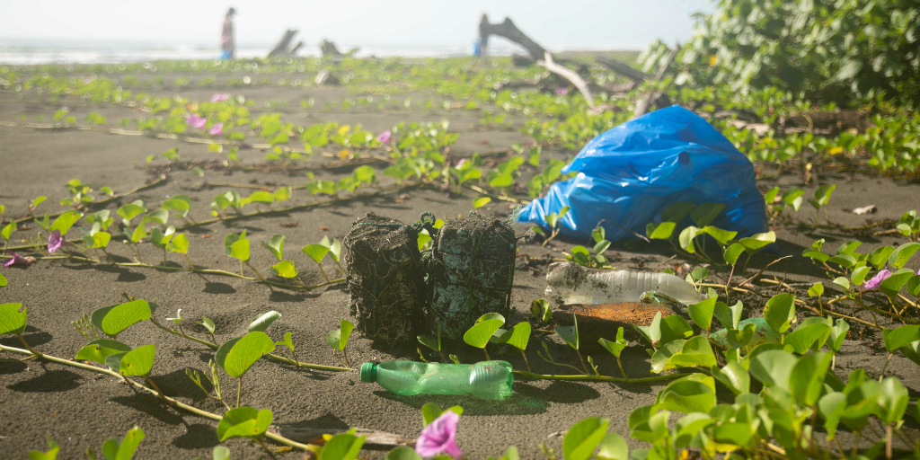 Single use plastics and their impact on the ocean