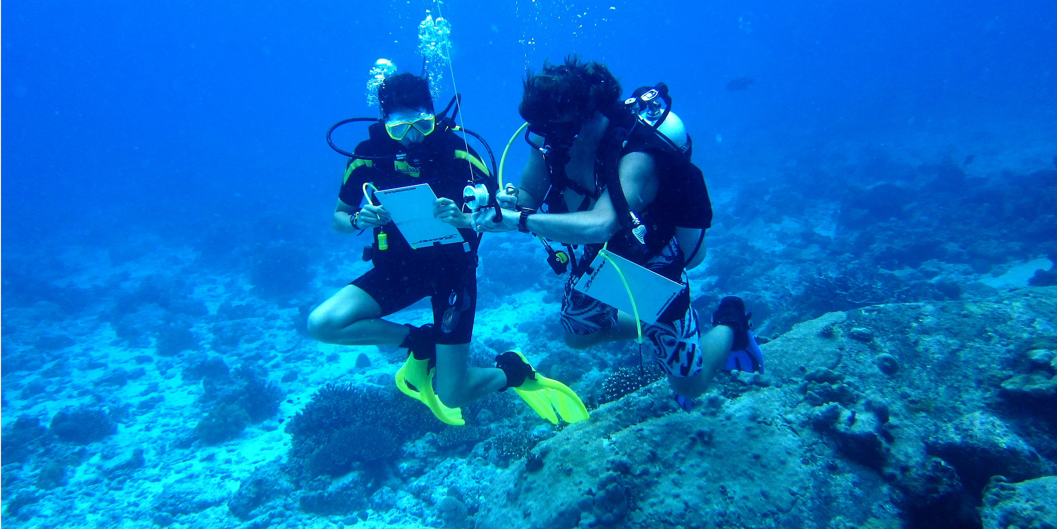 Marine conservationists in a dive check