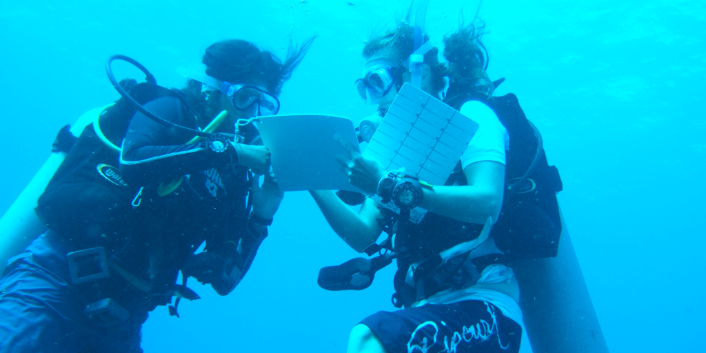 marine conservation diving teen