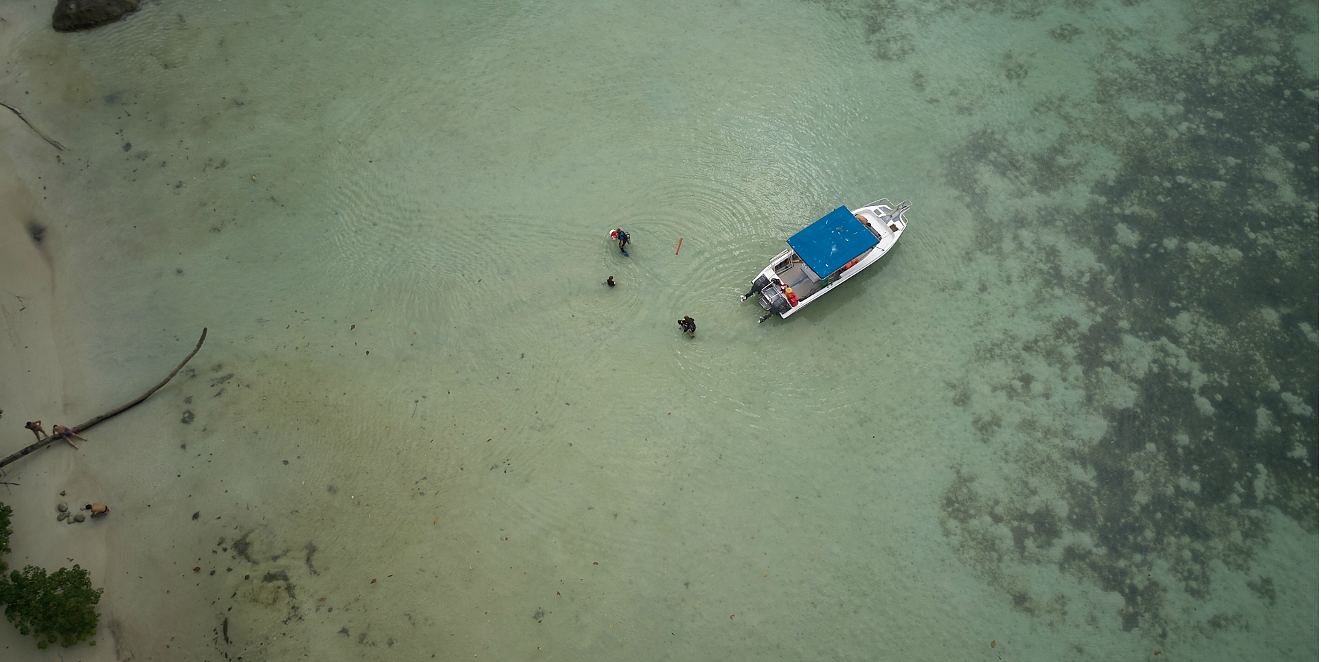 volunteer seychelles