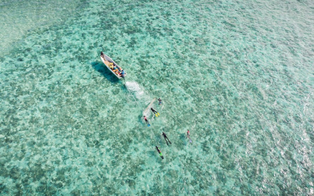 Manta Tow Surveys Around Fiji