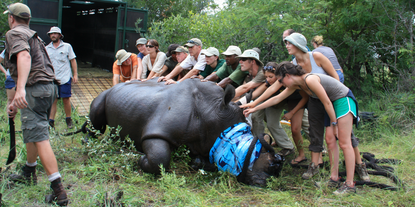 sustainable tourism