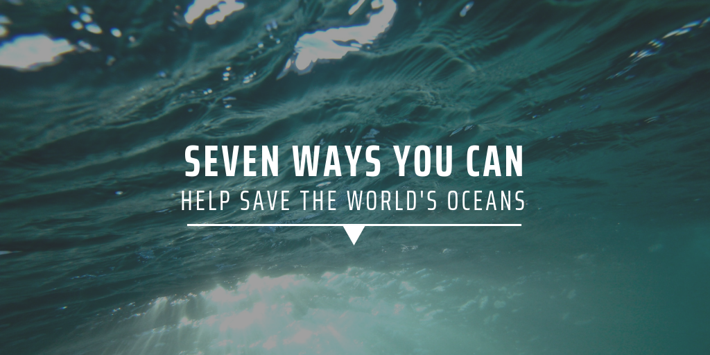 Seven ways you can help save the world's oceans GVI UK