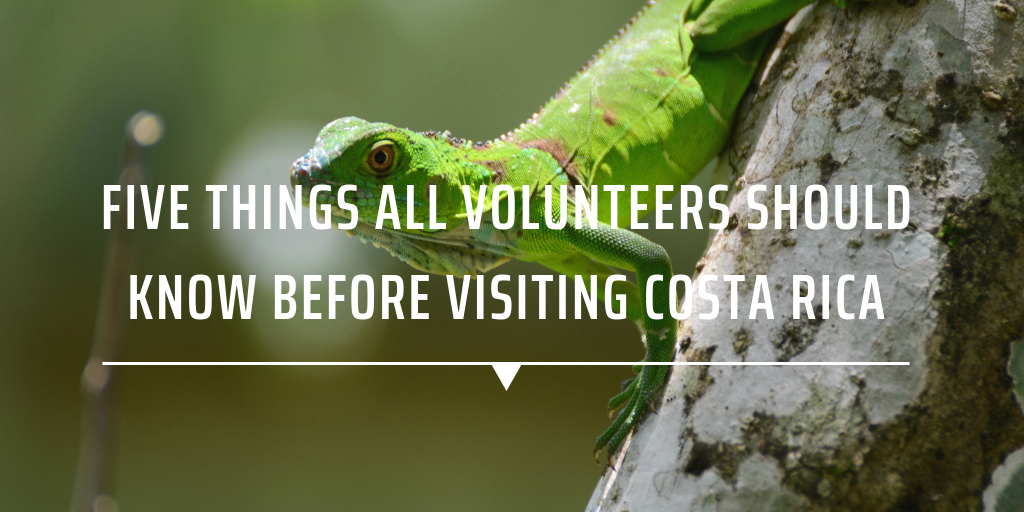 Five things all volunteers should know before visiting Costa Rica