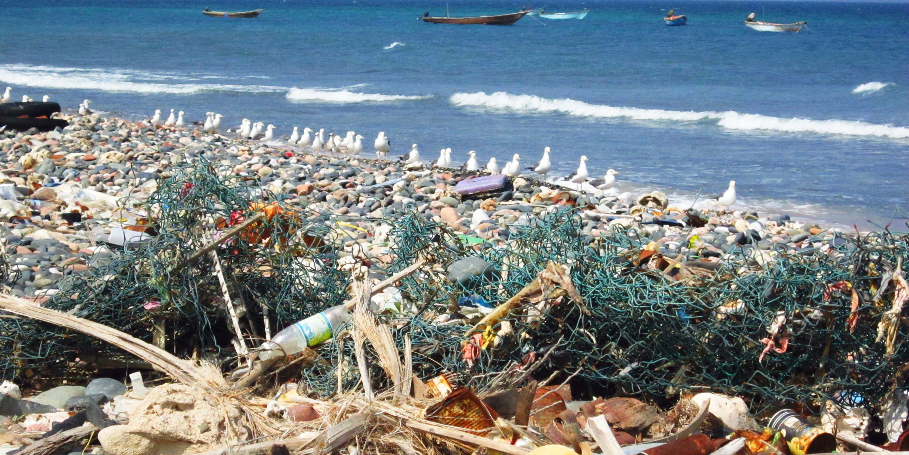 Plastic pollution in the ocean