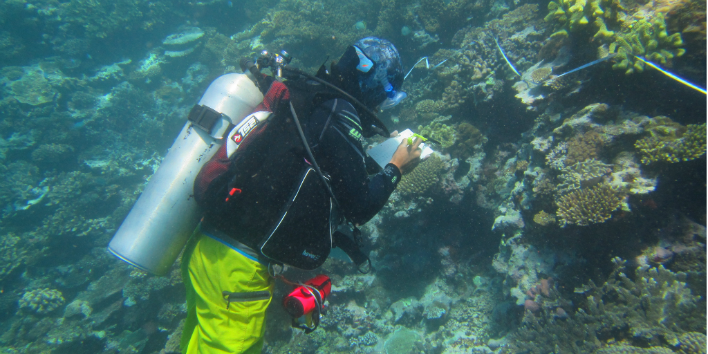 A diver doing an underwater survey of a coral reef off the coast of Dawasamu, Fiji.