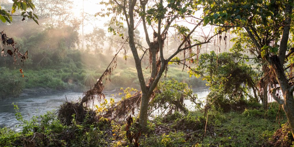 Nepal national park