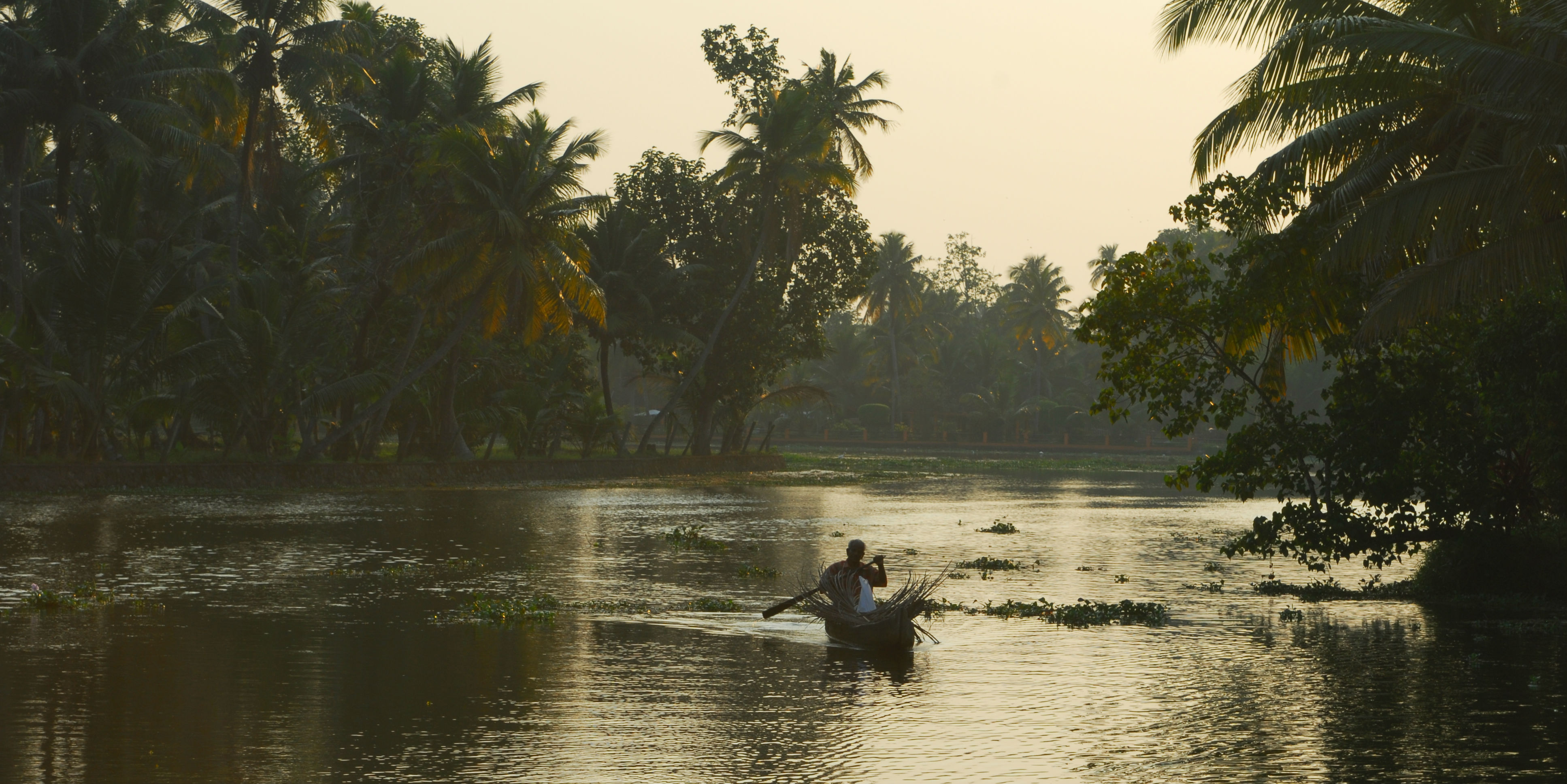 Backwaters of kerala