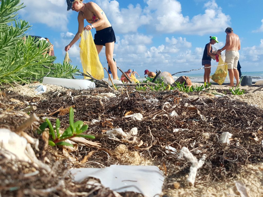 Plastic Pollution And Marine Conservation In Fiji GVI UK