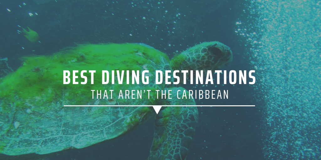 best diving destinations that