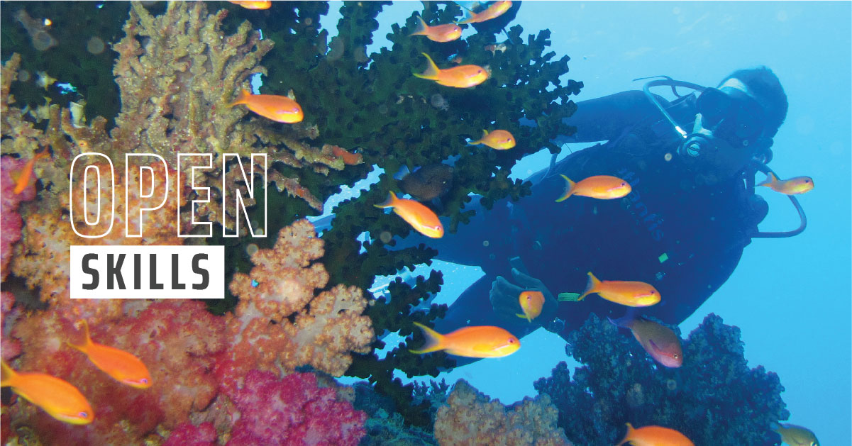 A diver swimming past coral while observing orange fish.