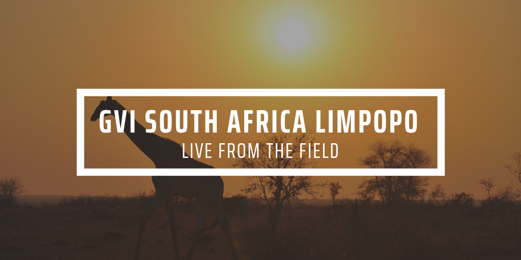 From classroom to bushveld