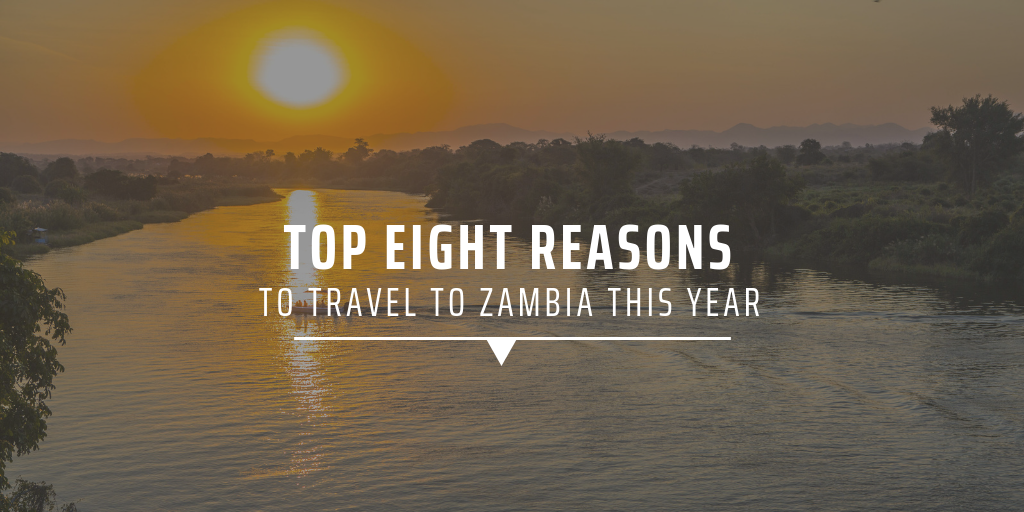 volunteer work in zambia