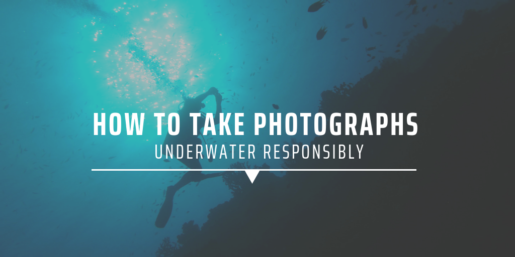 How to take photographs underwater responsibly