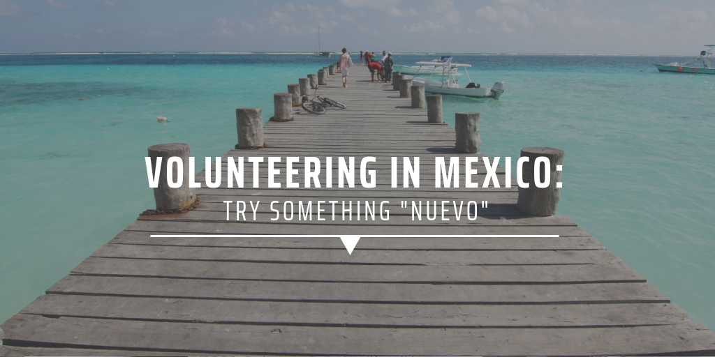 Volunteering in Mexico: Try something “nuevo”
