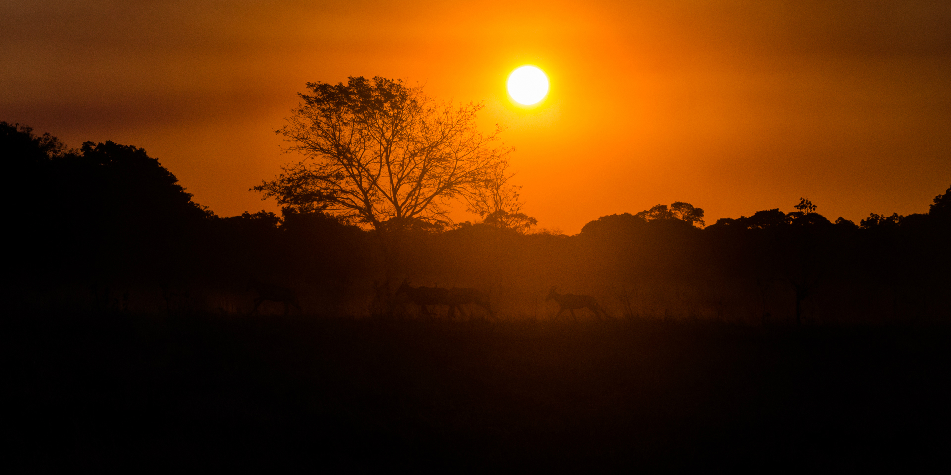 zambia tourism