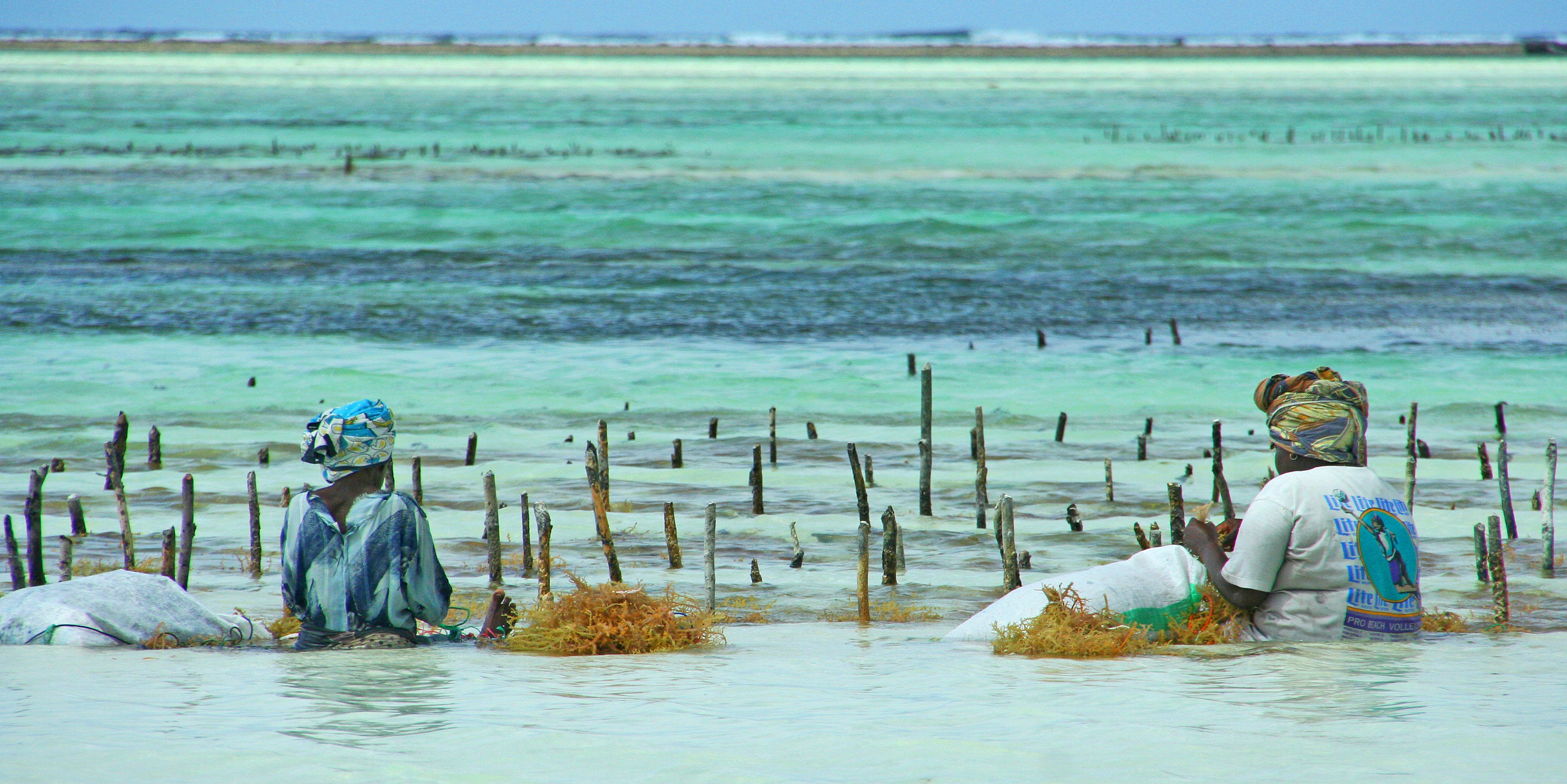 zanzibar tanzania