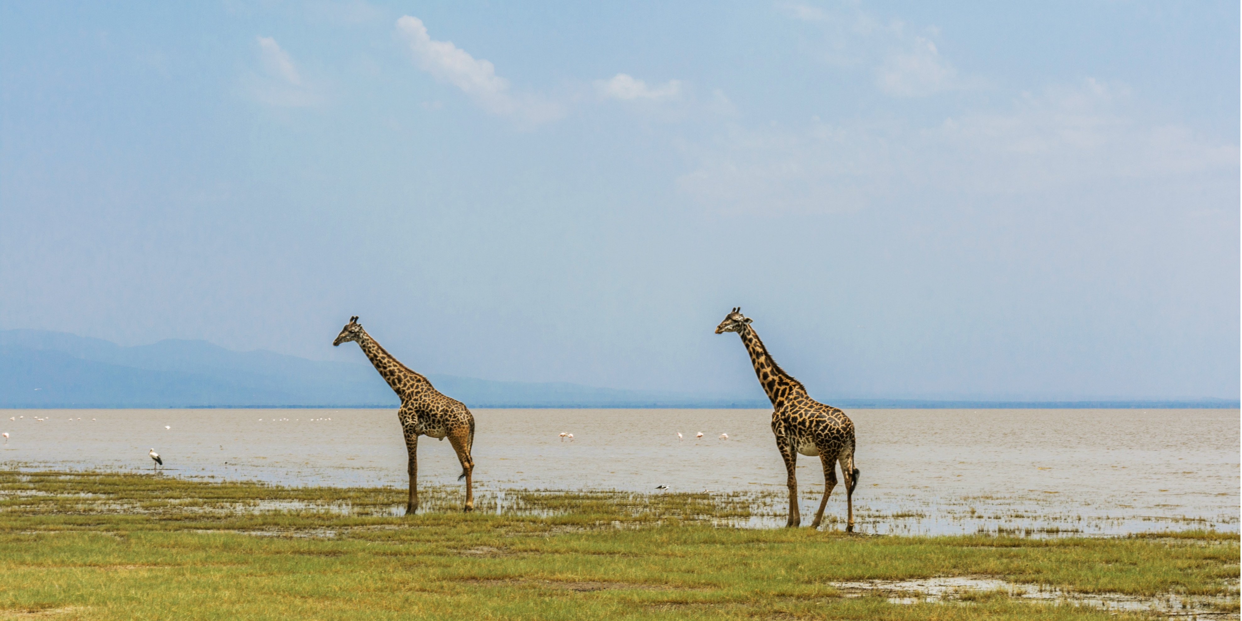 best time to visit tanzania