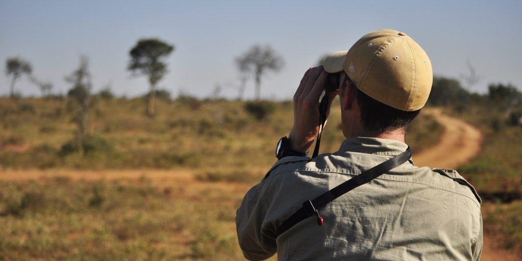 You can also become a field guide and make a career out of wildlife conservation.