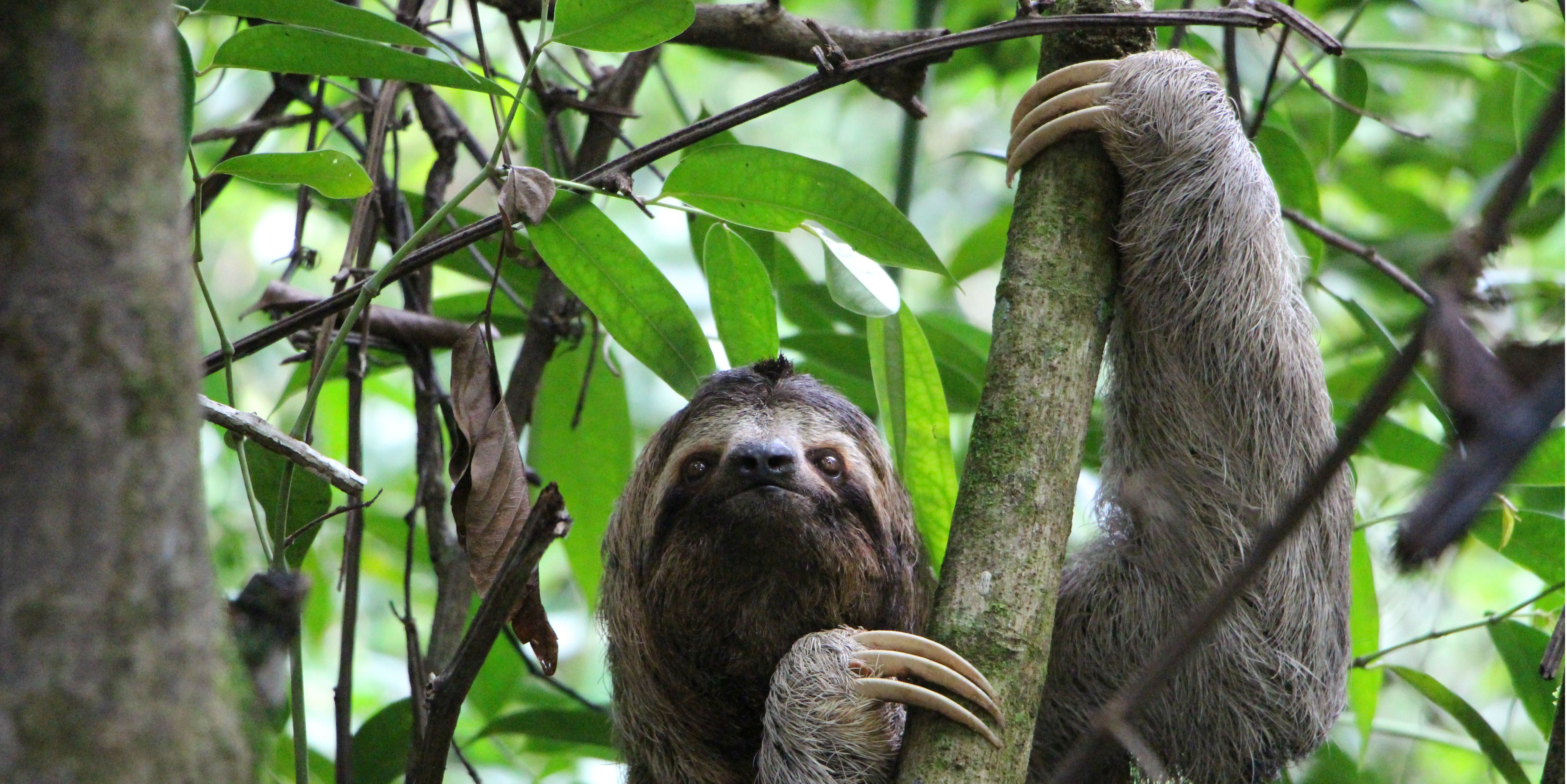 Manuel Antonio National Park