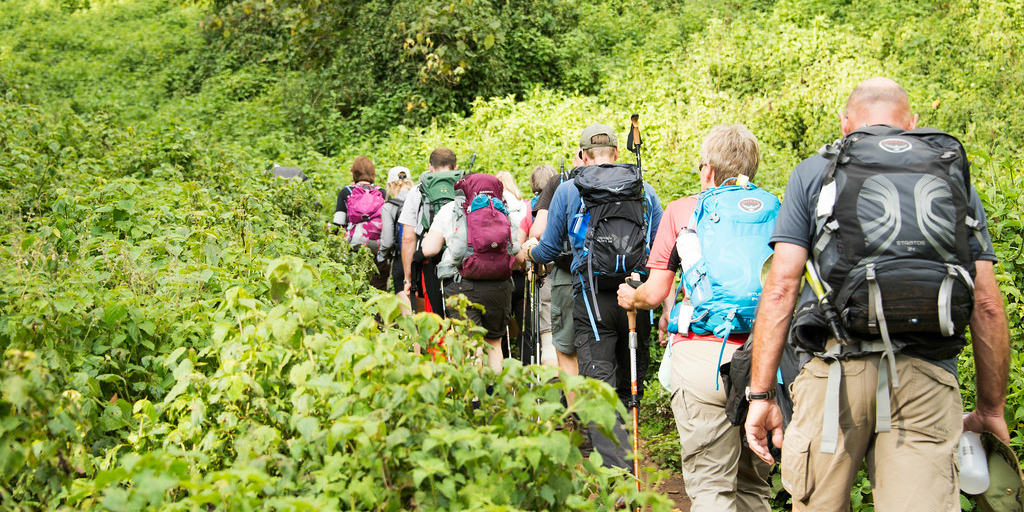 climb Kilimanjaro