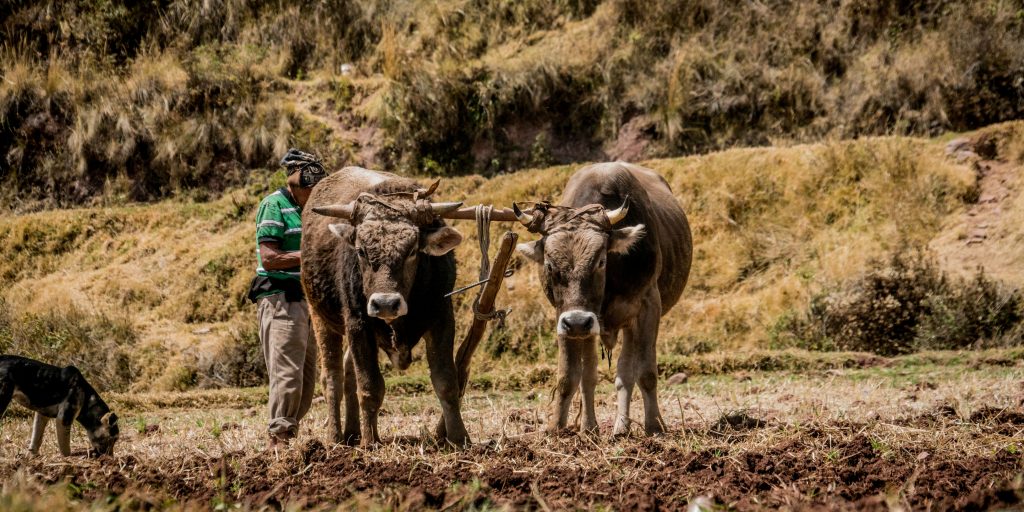 peru festivals and holidays