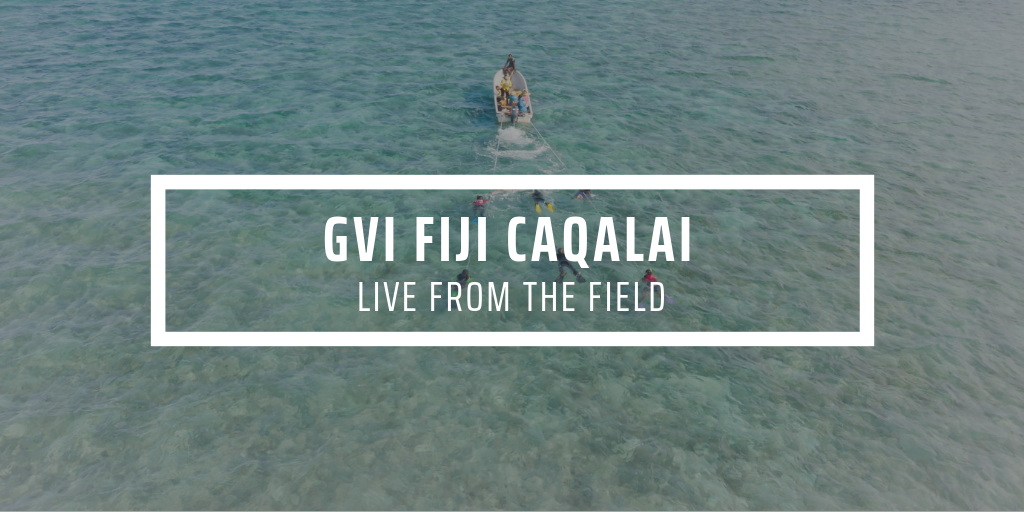Caqalai, Fiji