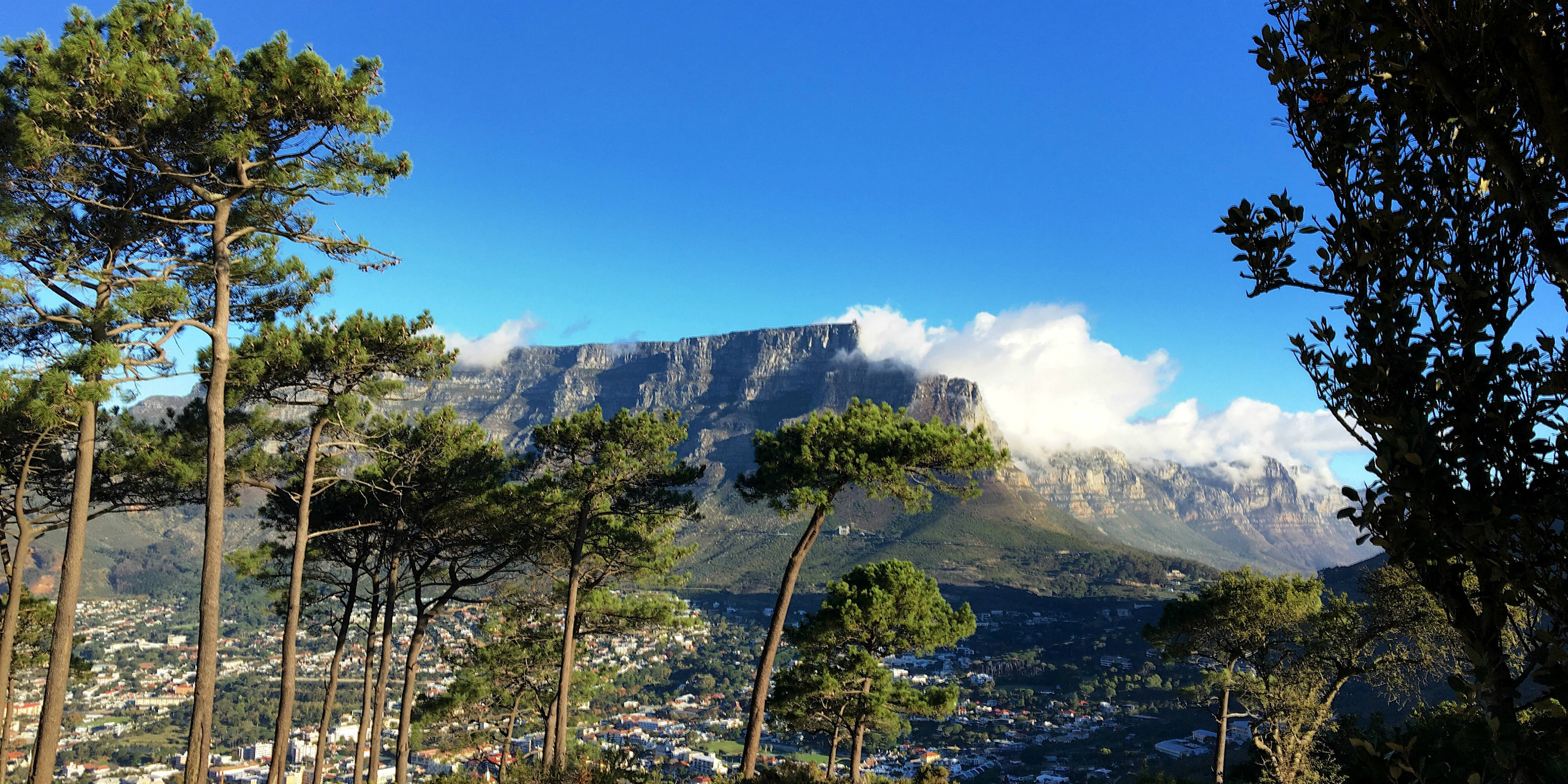 table mountain cape town