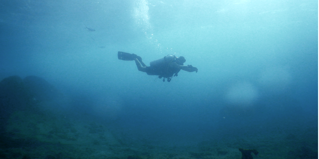 fiji diving