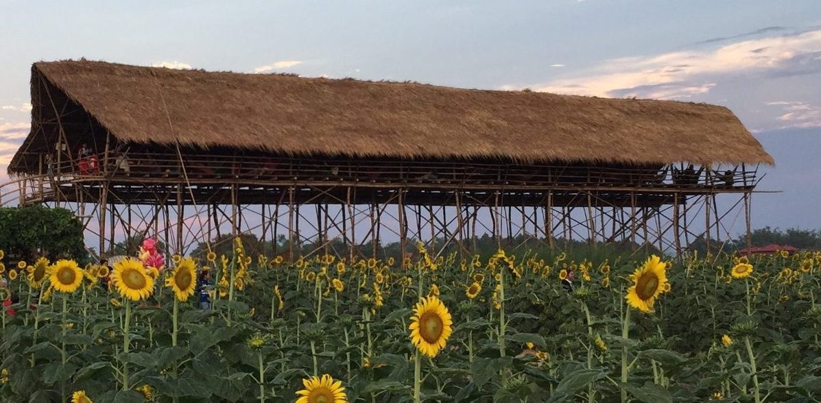 What does rainy season mean for Cambodia? | GVI | GVI