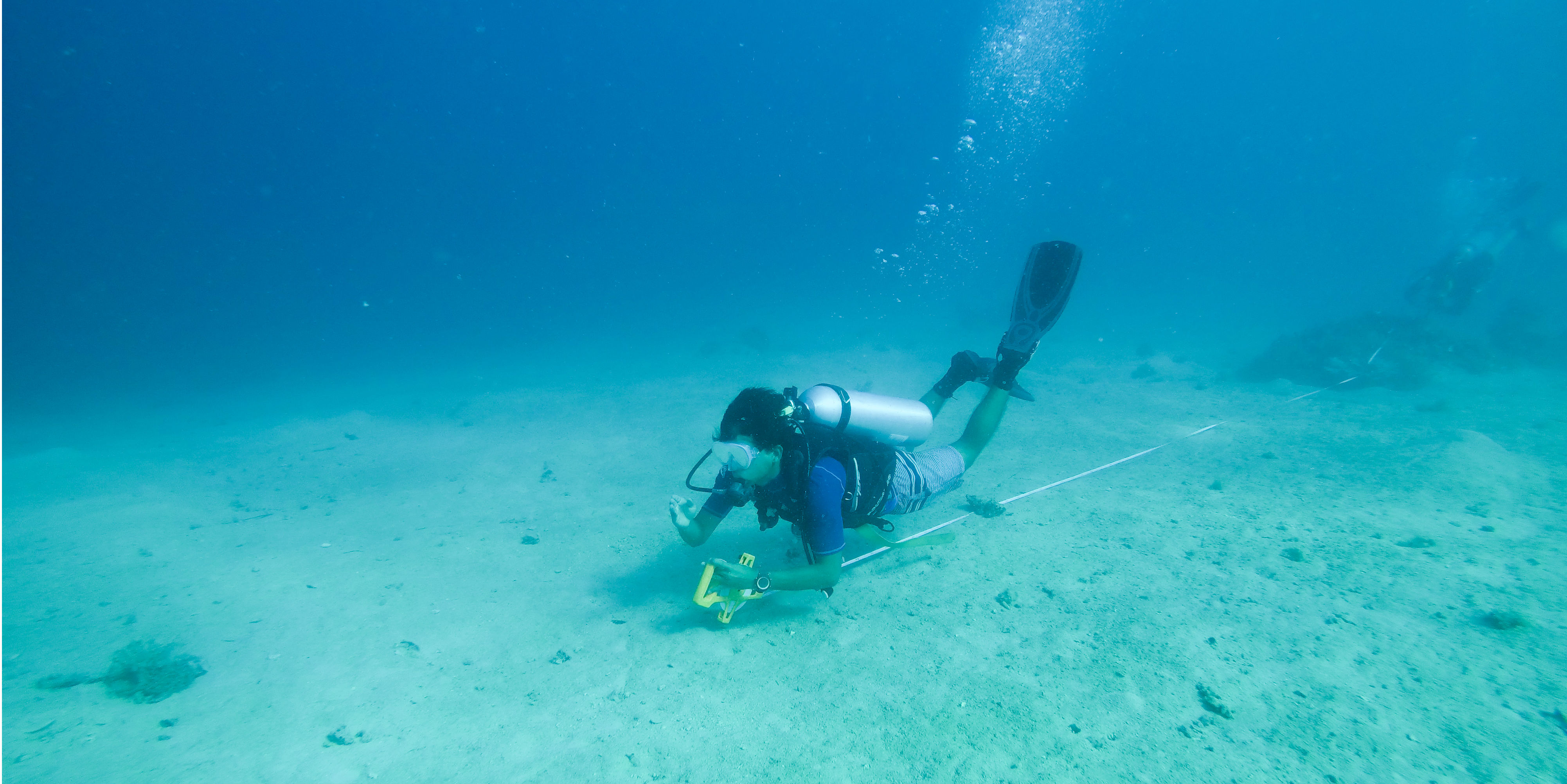 Fiji diving opportunities come with the promise of diverse underwater kingdoms. Pictured: A GVI participant conducts marine conservation research in Calaqai