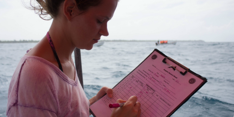 A GVI participant spends her gap year travelling around Zanzibar, and motoring the effects of dolphin tourism on dolphin pods.