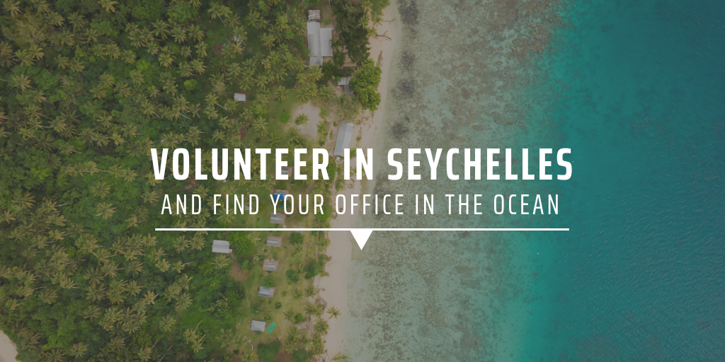 Volunteer in Seychelles and find your office in the ocean