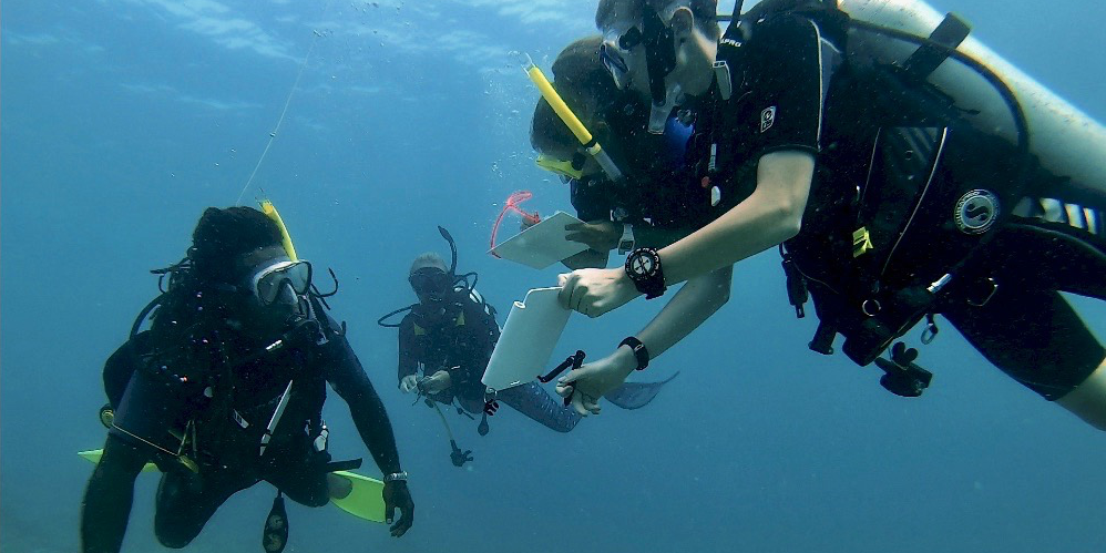 GVI participants complete vital marine conservation research in Mahe, as part of their gap semester.