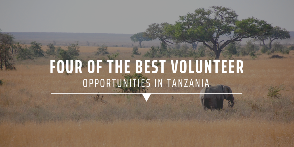 OPPORTUNITIES IN TANZANIA