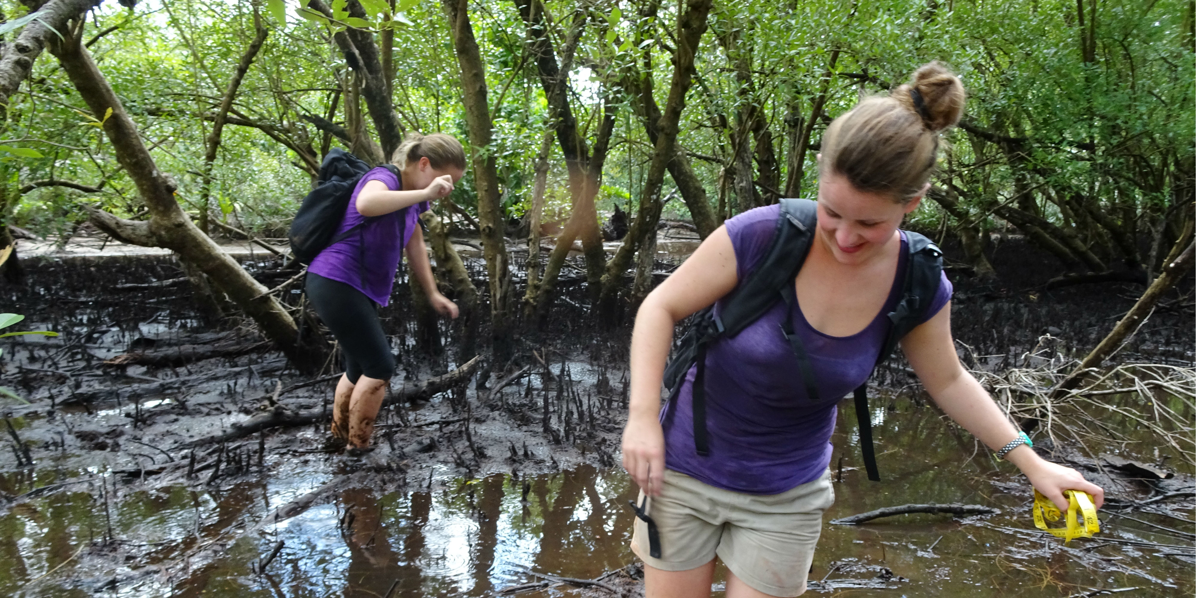 Participants help to record data on mangrove forests while volunteering in Curieuse. 